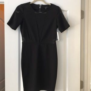 Lucca Couture Mesh Cutout Bodycon Dress